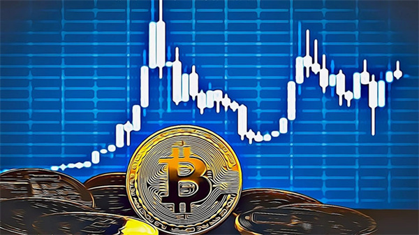 比特币硬件钱包能储存其它币种吗？常见硬件钱包盘点-第1张图片-欧意交易所
