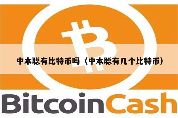 中本聪有比特币吗（中本聪有几个比特币）-第1张图片-欧意交易所