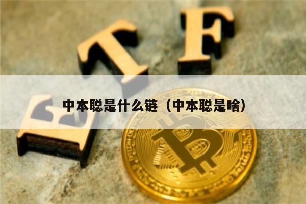 中本聪是什么链（中本聪是啥）-第1张图片-欧意交易所