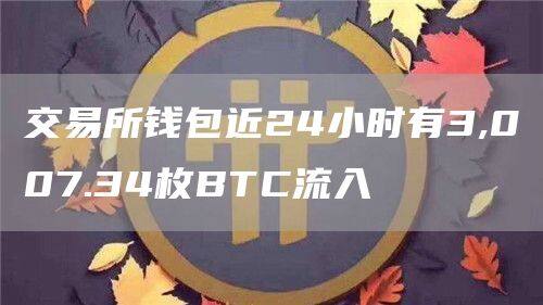交易所钱包近24小时有3,007.34枚BTC流入-第1张图片-欧意交易所