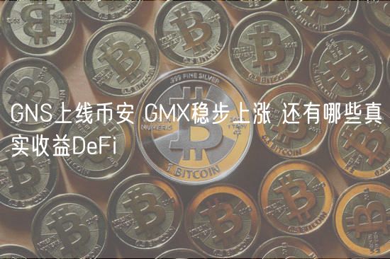 GNS上线币安 GM稳步上涨 还有哪些真实收益DbFi-第1张图片-欧意交易所