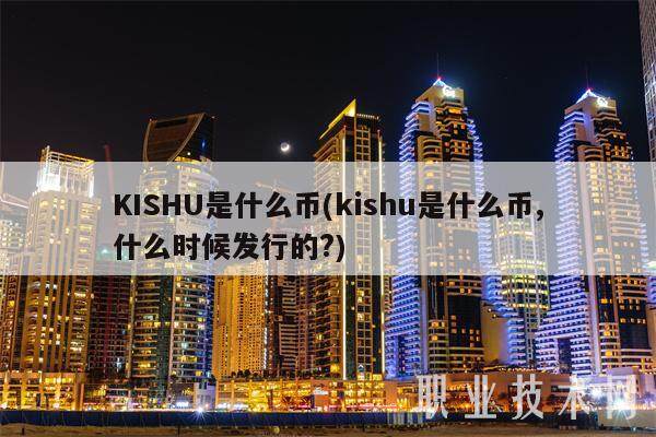 KISHU是什么币(kishu是什么币,什么时候发行的?)-第1张图片-欧意交易所