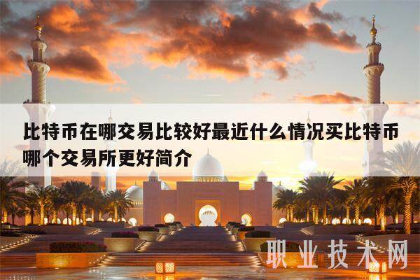 比特币在哪交易比较好最近什么情况买比特币哪个交易所更好简介-第1张图片-欧意交易所