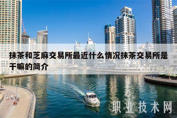抹茶和芝麻交易所最近什么情况抹茶交易所是干嘛的简介-第1张图片-欧意交易所