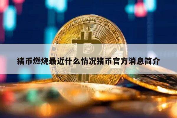 猪币燃烧最近什么情况猪币官方消息简介-第1张图片-欧意交易所