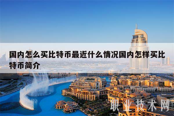 国内怎么买比特币最近什么情况国内怎样买比特币简介-第1张图片-欧意交易所