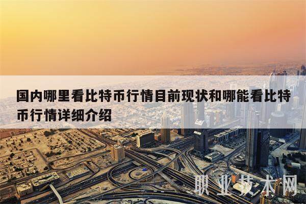 国内哪里看比特币行情目前现状和哪能看比特币行情详细介绍-第1张图片-欧意交易所