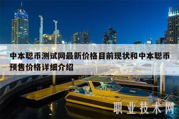 中本聪币测试网最新价格目前现状和中本聪币预售价格详细介绍-第1张图片-欧意交易所