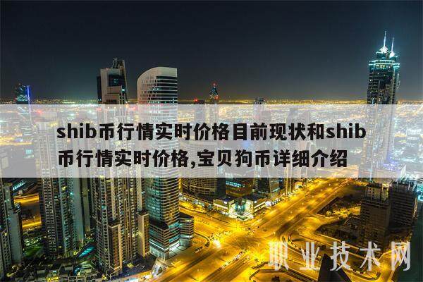shib币行情实时价格目前现状和shib币行情实时价格,宝贝狗币详细介绍-第1张图片-欧意交易所
