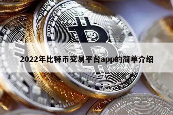2022年比特币交易平台app的简单介绍-第1张图片-欧意交易所