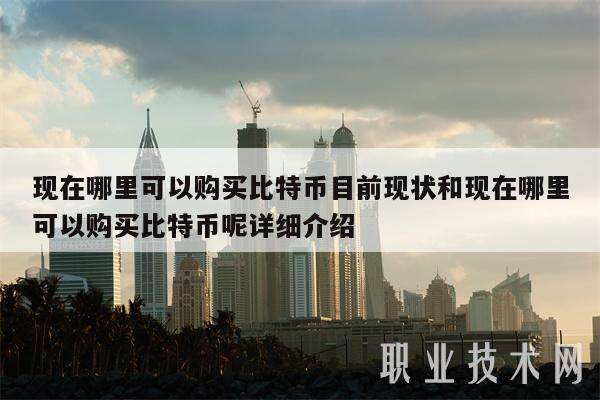 现在哪里可以购买比特币目前现状和现在哪里可以购买比特币呢详细介绍-第1张图片-欧意交易所