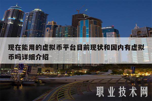 现在能用的虚拟币平台目前现状和国内有虚拟币吗详细介绍-第1张图片-欧意交易所