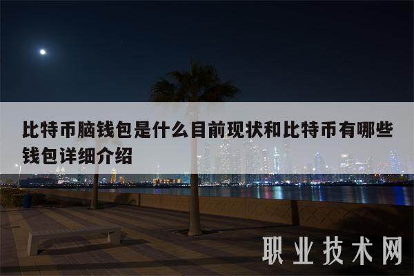 比特币脑钱包是什么目前现状和比特币有哪些钱包详细介绍-第1张图片-欧意交易所