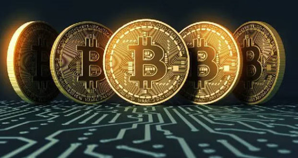 波卡生态是什么意思-第1张图片-欧意交易所