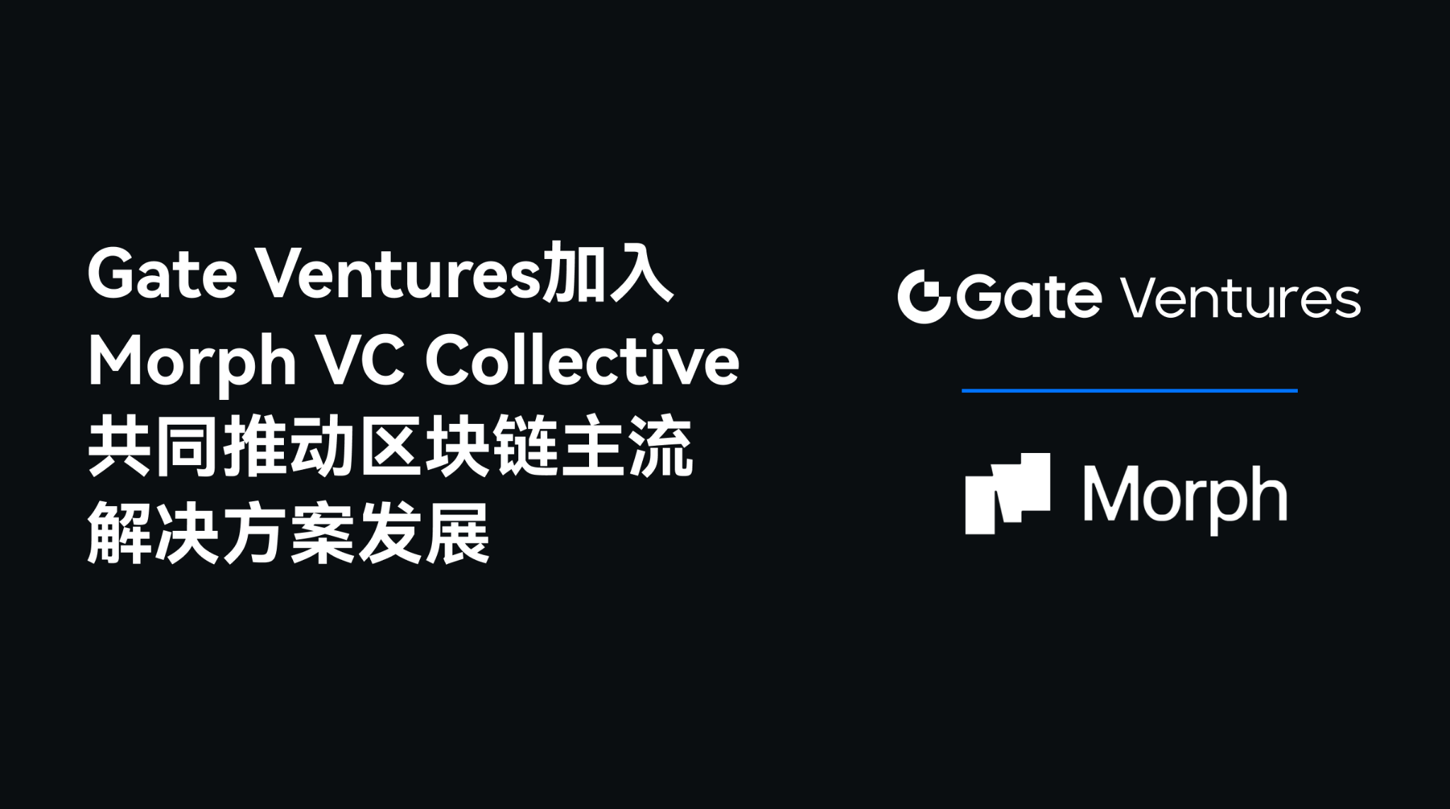 gate ventures加入morph vc collective，共同推动区块链主流解决方案发展