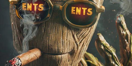 Meme币ENTS筹集2万枚BNB开盘暴跌！项目方：被假冒币安上币人员骗走了