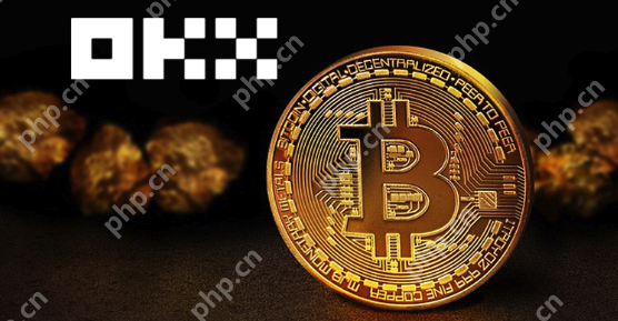 2025最安全交易所TOP5：黑U避坑指南，资金100%保命法则 - php中文网