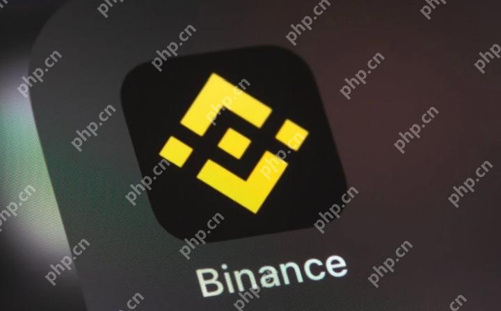 如何在 Android 设备上安装币安应用程序（2025 更新） - php中文网