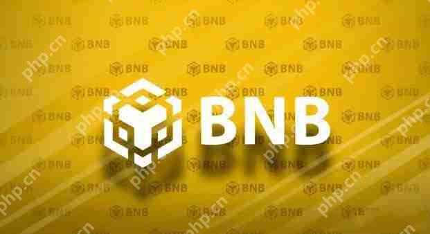 一文让你了解币安币bnb的用途