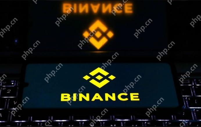币安网页版官网入口 binance登录链接导航 - php中文网
