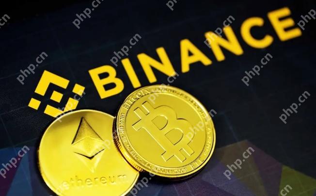 币安官方网页版登录 binance官网入口导航 - php中文网
