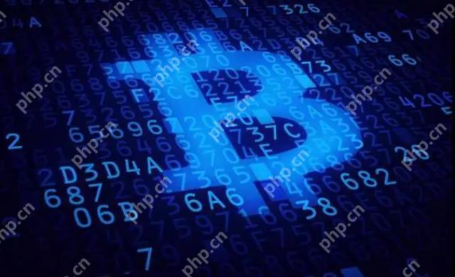 比特币个人持有者2025年最新排名榜一览 - php中文网
