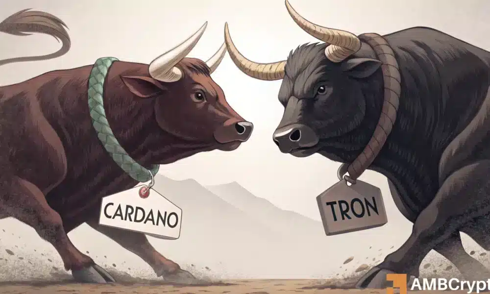 TRON [TRX]超过Cardano [ADA]，因为链数据揭示了其网络活动的结构弱点