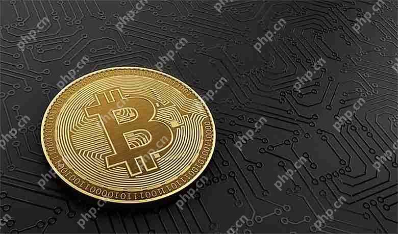 山寨市场联动，如何判断一个币是否值得长期持有？