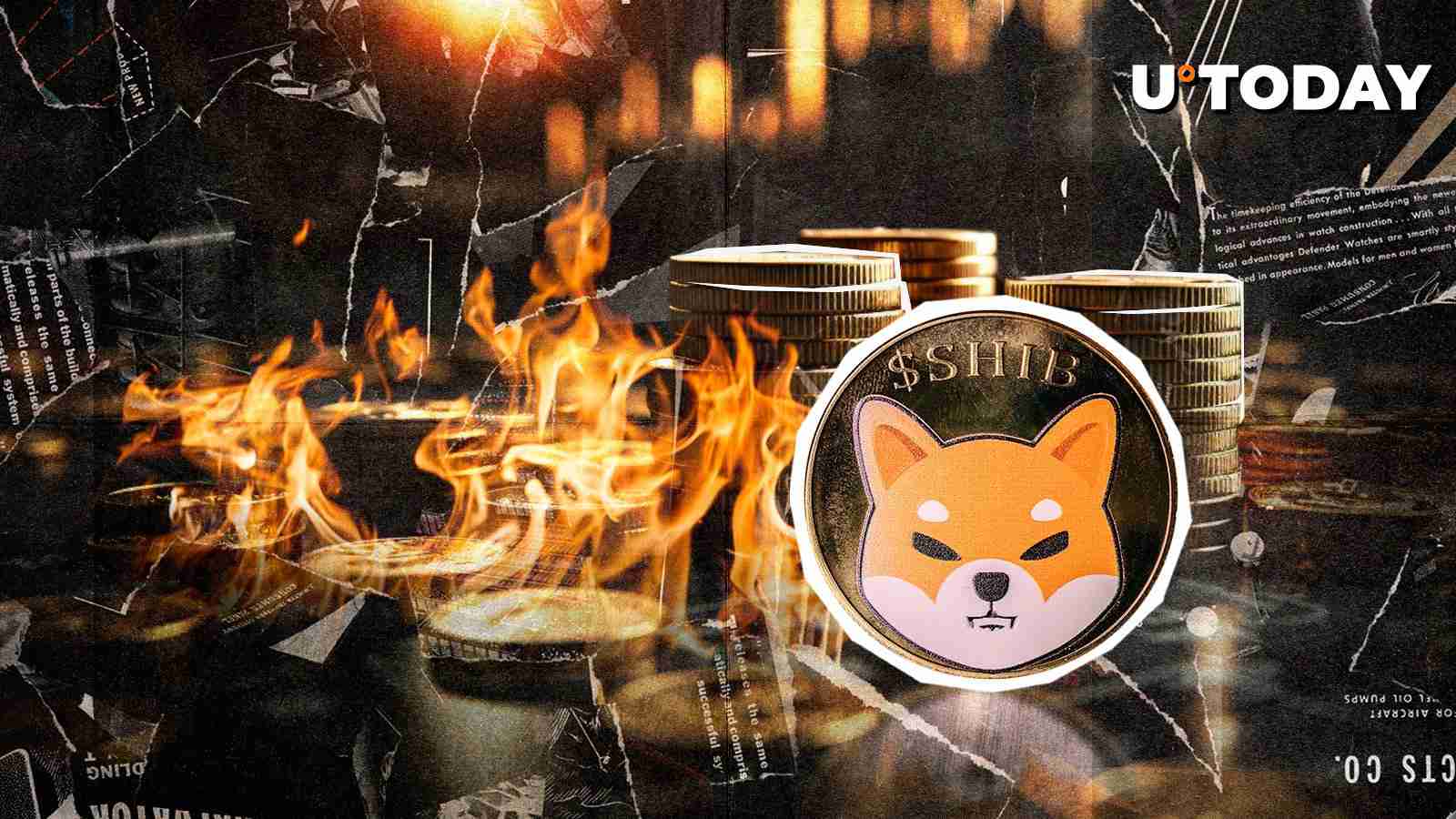 柏希布燃烧：加密货币趋势和区块链见解