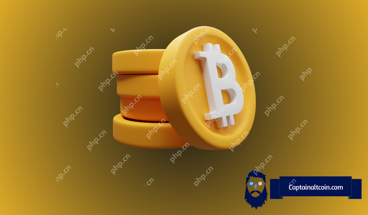 比特币（BTC）至$ 300,000看起来不可阻挡 - 这里是图表的证明