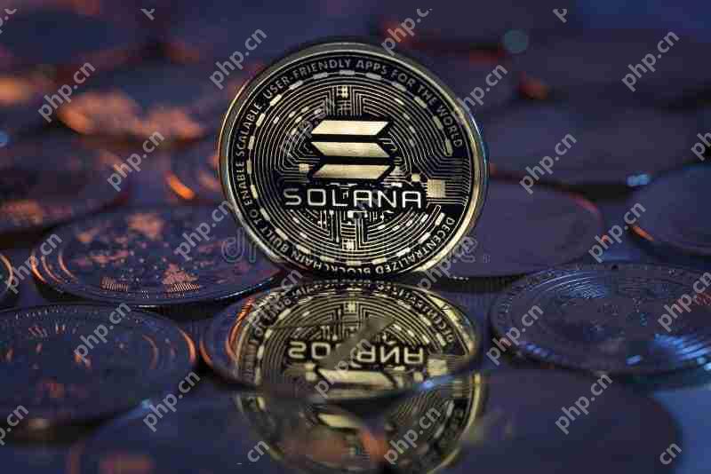 Solana（Sol）价格预测：此图表显示了市场的前进