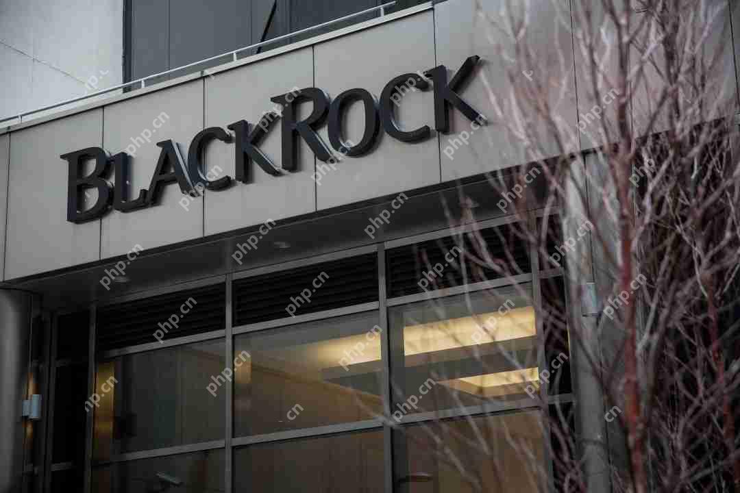 由贝莱德（Blackrock）领导
