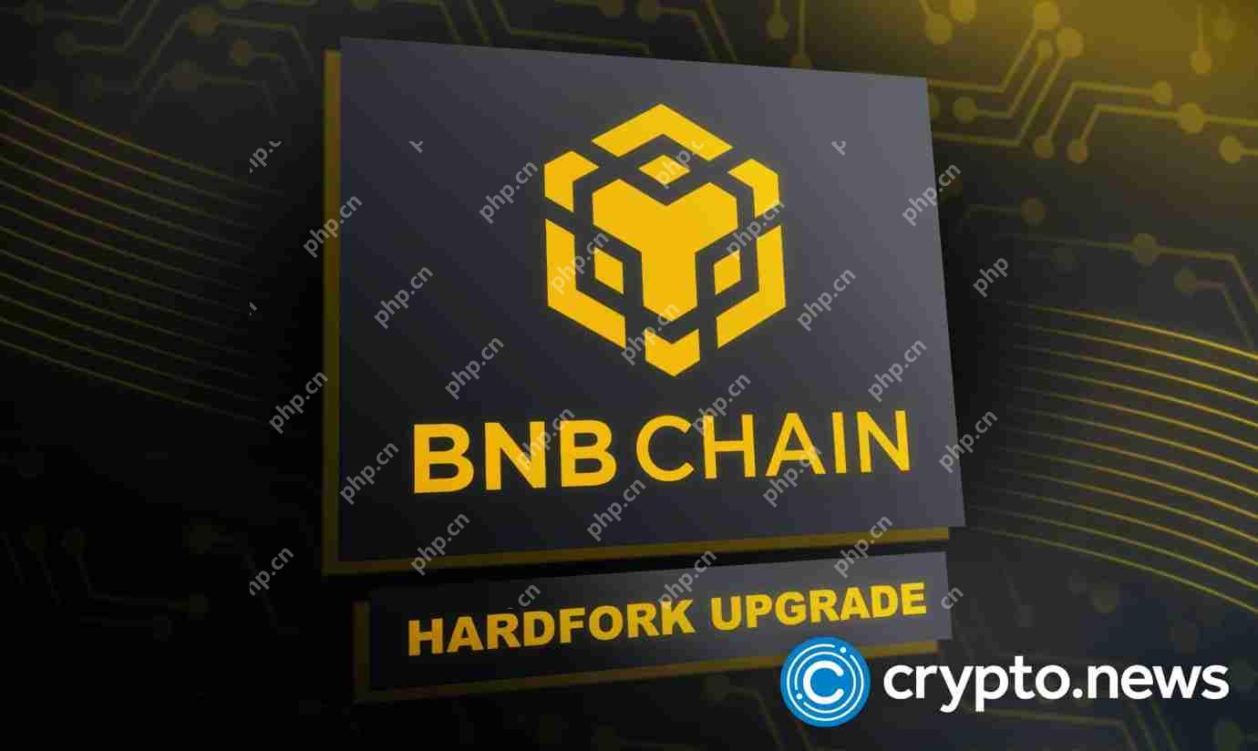 BNB链升级升级1亿美元的激励计划，以直接令牌获取为特色