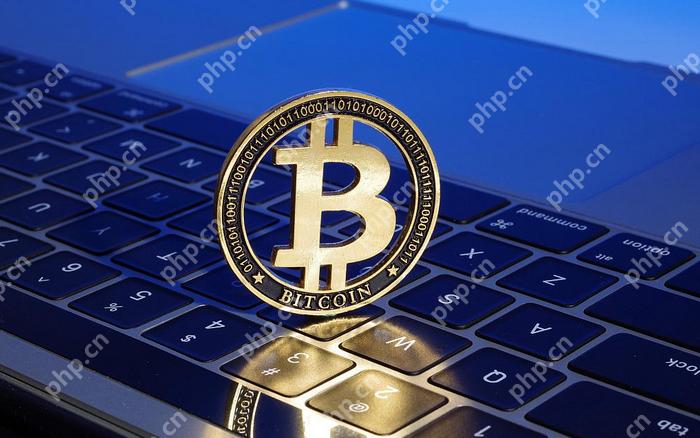 前10名的正规比特币交易app排名 十大比特币交易所权威榜单最新 - php中文网