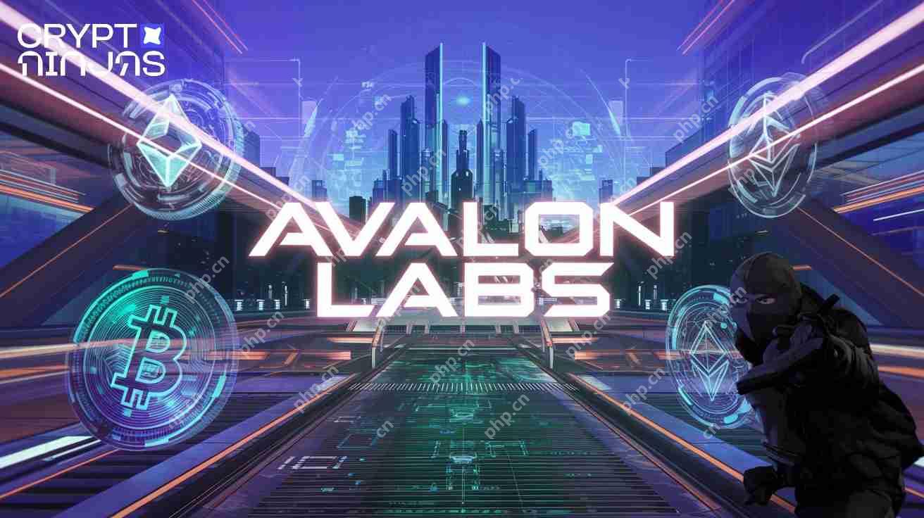 Avalon Labs与Bybit的Earn Platform合作，推出了一种新的固定利率比特币贷款工具。