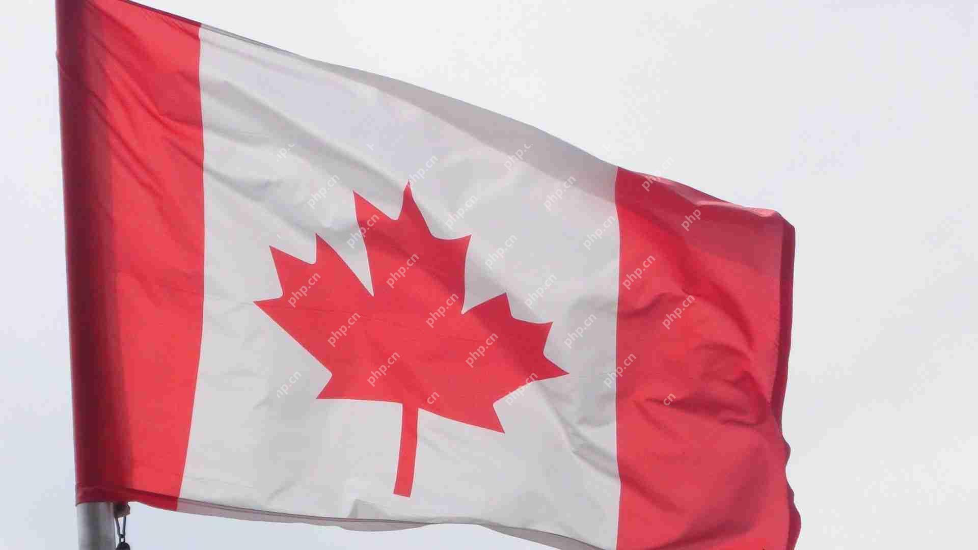 加拿大很少有机会在区块链创新中超越美国