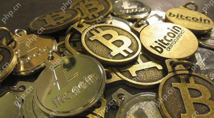 全球十大虚拟货币正规交易平台2025年推荐榜单