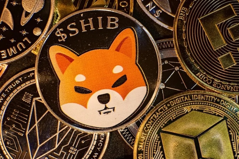 柴犬币（SHIB）销毁计划启动，通缩模型能拯救价格吗？ - php中文网