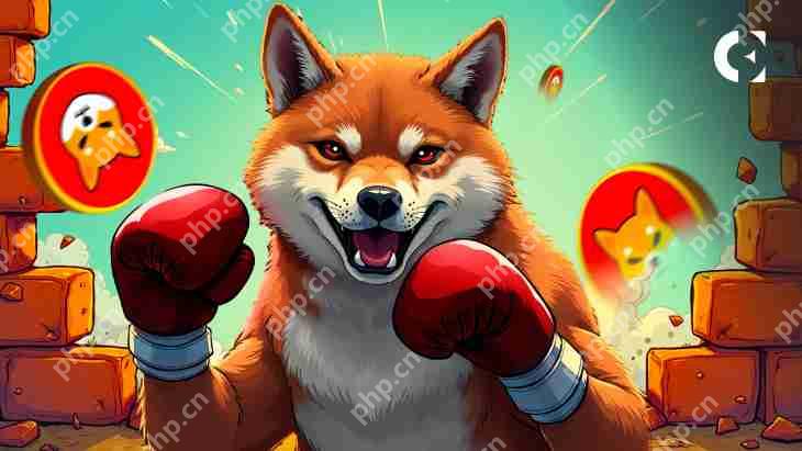 Dogecoin（Doge）表现出新鲜的力量迹象，可能正在为下一个重大突破做准备