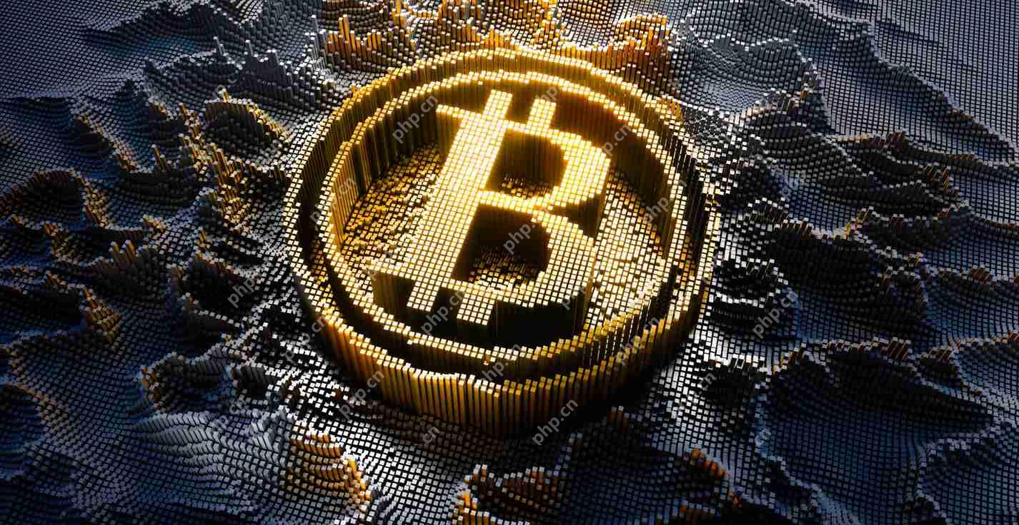 比特币（BTC）的价格动作非常出色