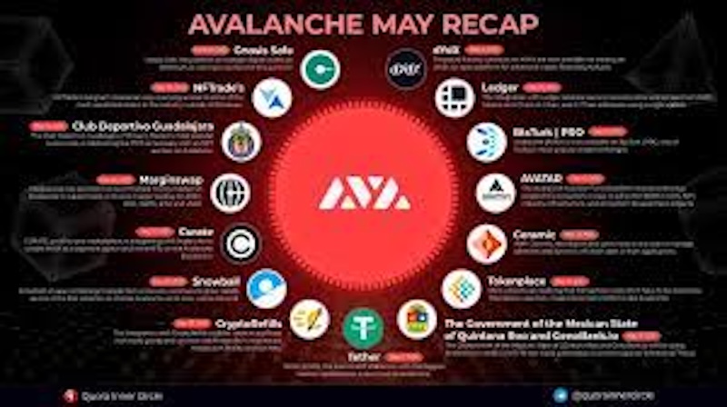 avalanche（avax）子网生态爆发，哪些项目最具潜力？ - php中文网