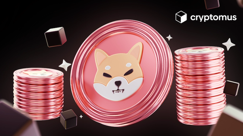 柴犬币（shib）销毁计划进展如何？社区自治真的有效吗？ - php中文网