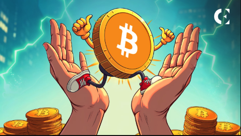 2025年比特币价格展望：BTC飙升至30万美元？以太坊突破1万美元？ - php中文网