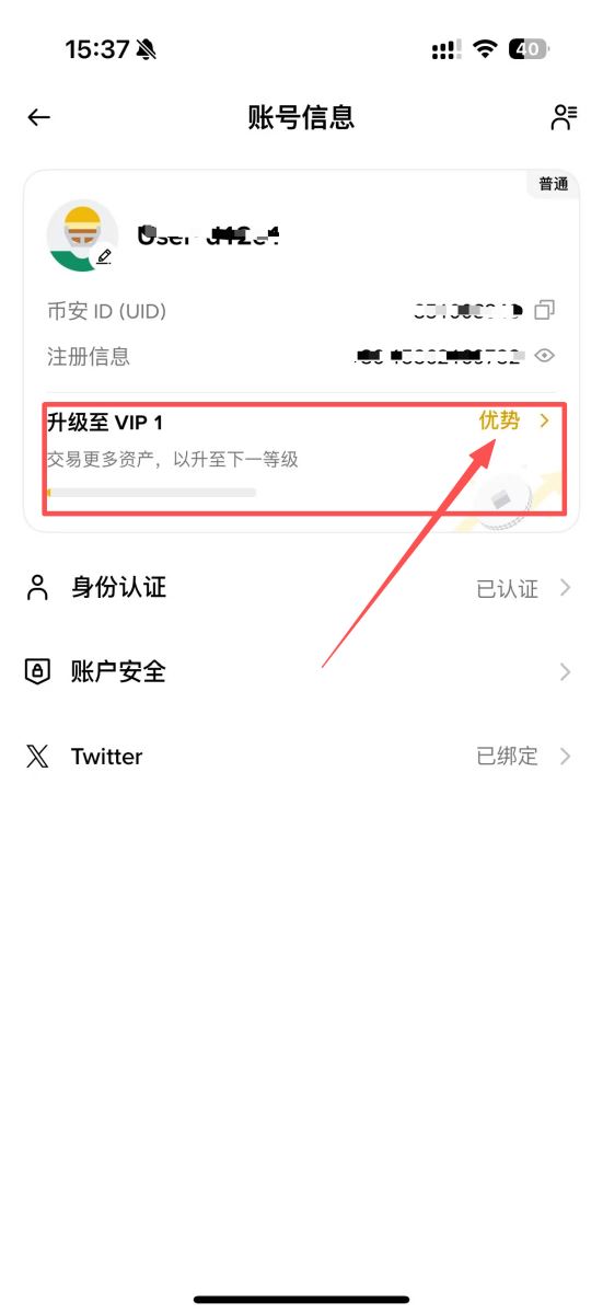 币安VIP的方式及优惠解析