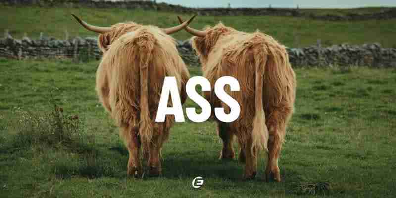 Eclipse Crypto是什么？解决了哪些问题？Layer-2区块链平台全指南