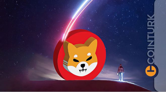 想投资MEME币？Doge、Shib、Pepe买哪个好？（2025深度分析） - php中文网