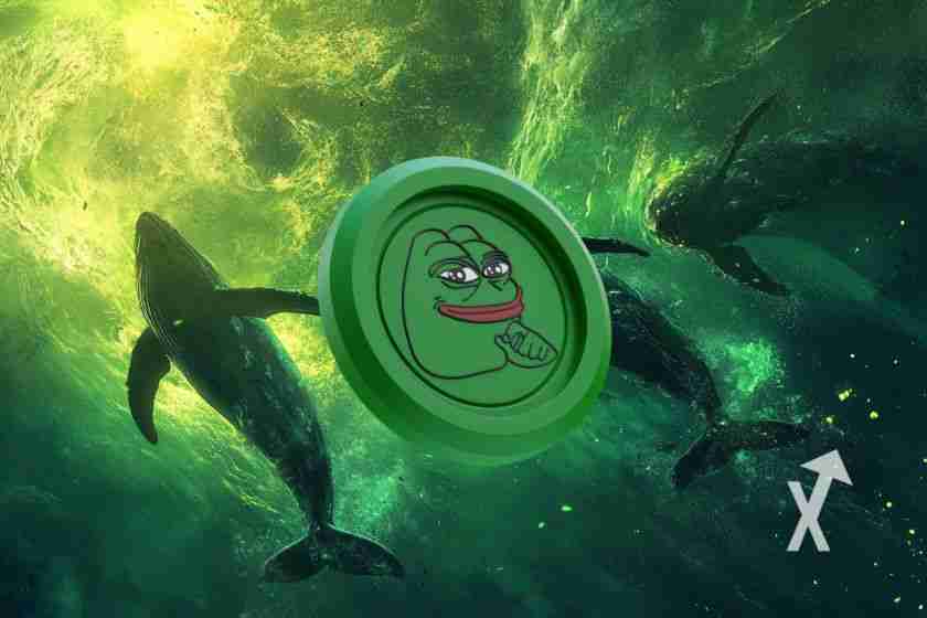 Pepe币：鲸鱼正在囤积——牛市爆发即将到来？