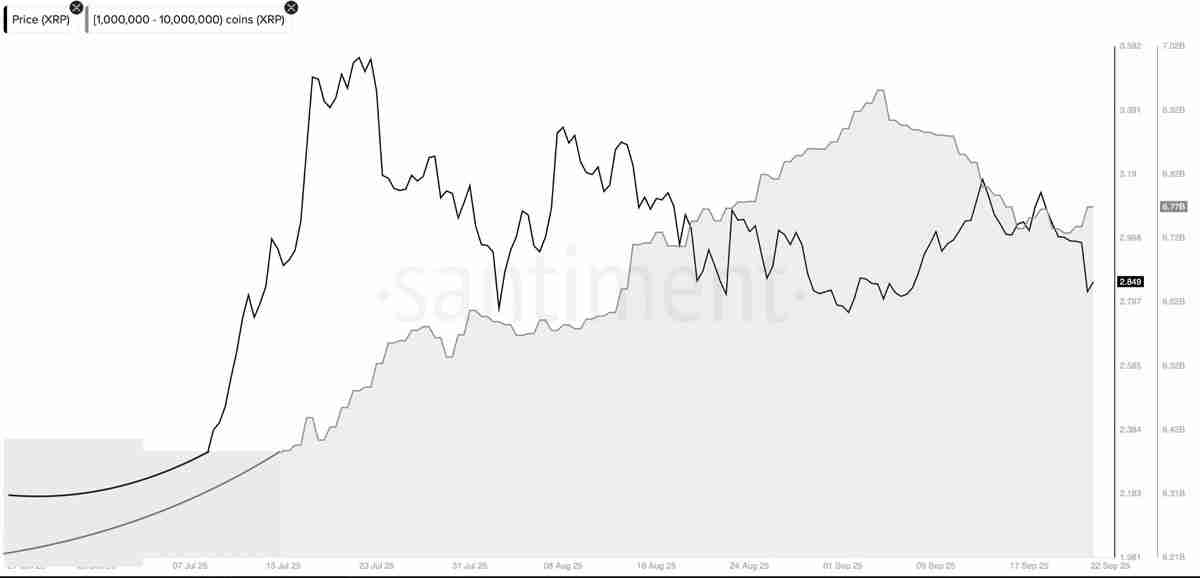 分析师CasiTrades深度分析：瑞波币（XRP）价格趋势准备迎来