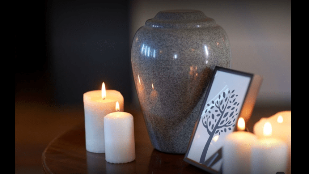 伯爵·巴奇·哈里：一个在时光与科技中回响的名字