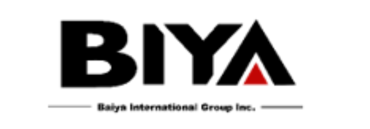 Baiya国际的Web3飞跃：收购行动预示着大胆的数字化转型